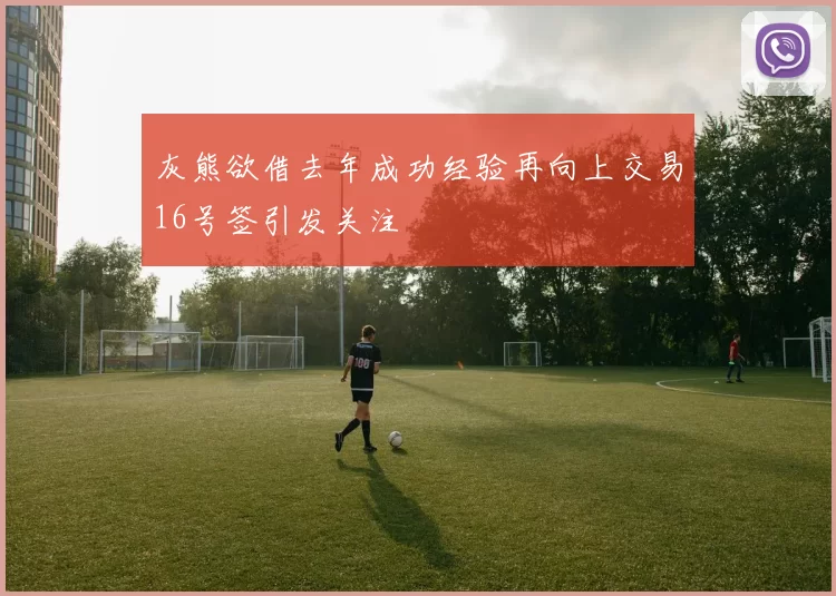 灰熊欲借去年成功经验再向上交易16号签引发关注
